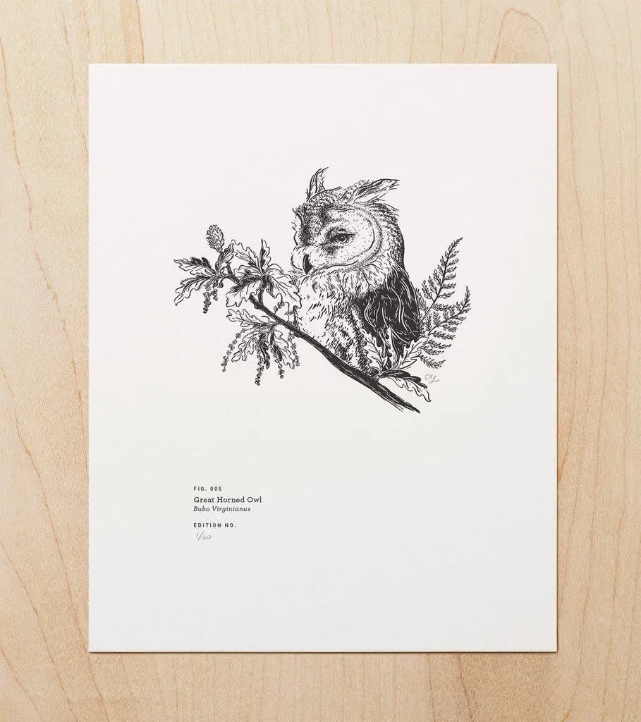 Great Horned Owl Art Print (8x10)